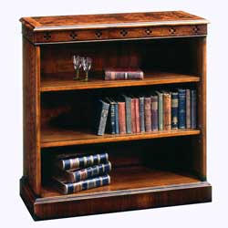 Elegant Bookcase