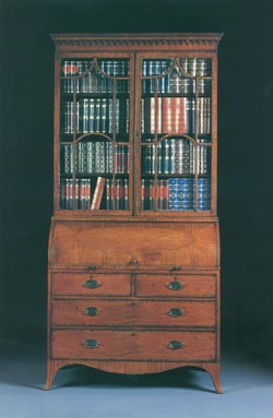 Regency Satinwood Roll Top Bookcase