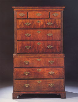 Burr Walnut Chest on Chest